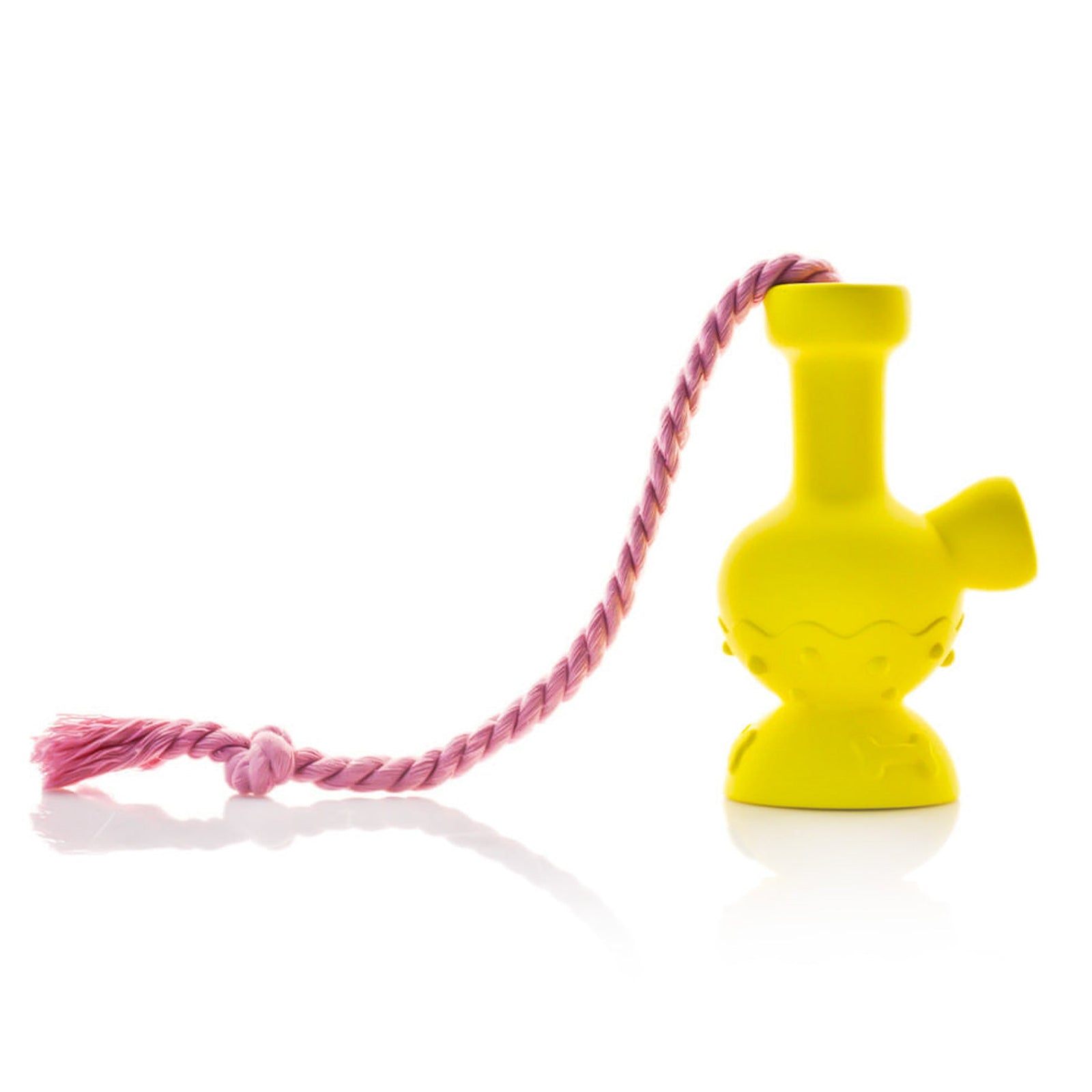 Tug-N-Toke Dog Toy (Assorted)