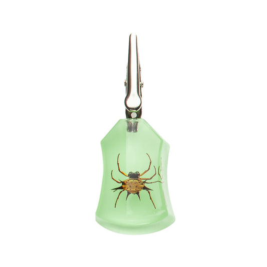 Glow-in-the-Dark Spider Clip