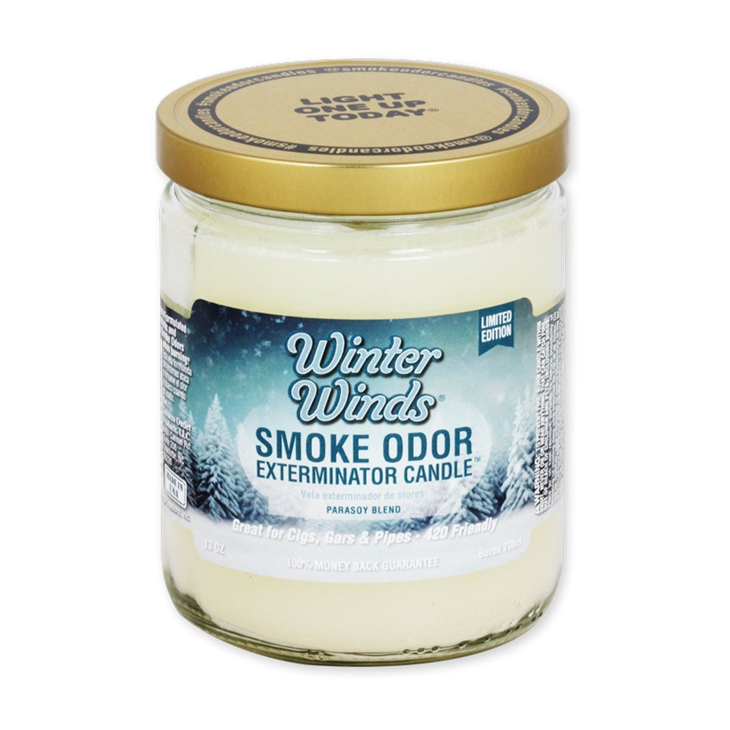 13oz Winter Winds Candle (Seasonal)